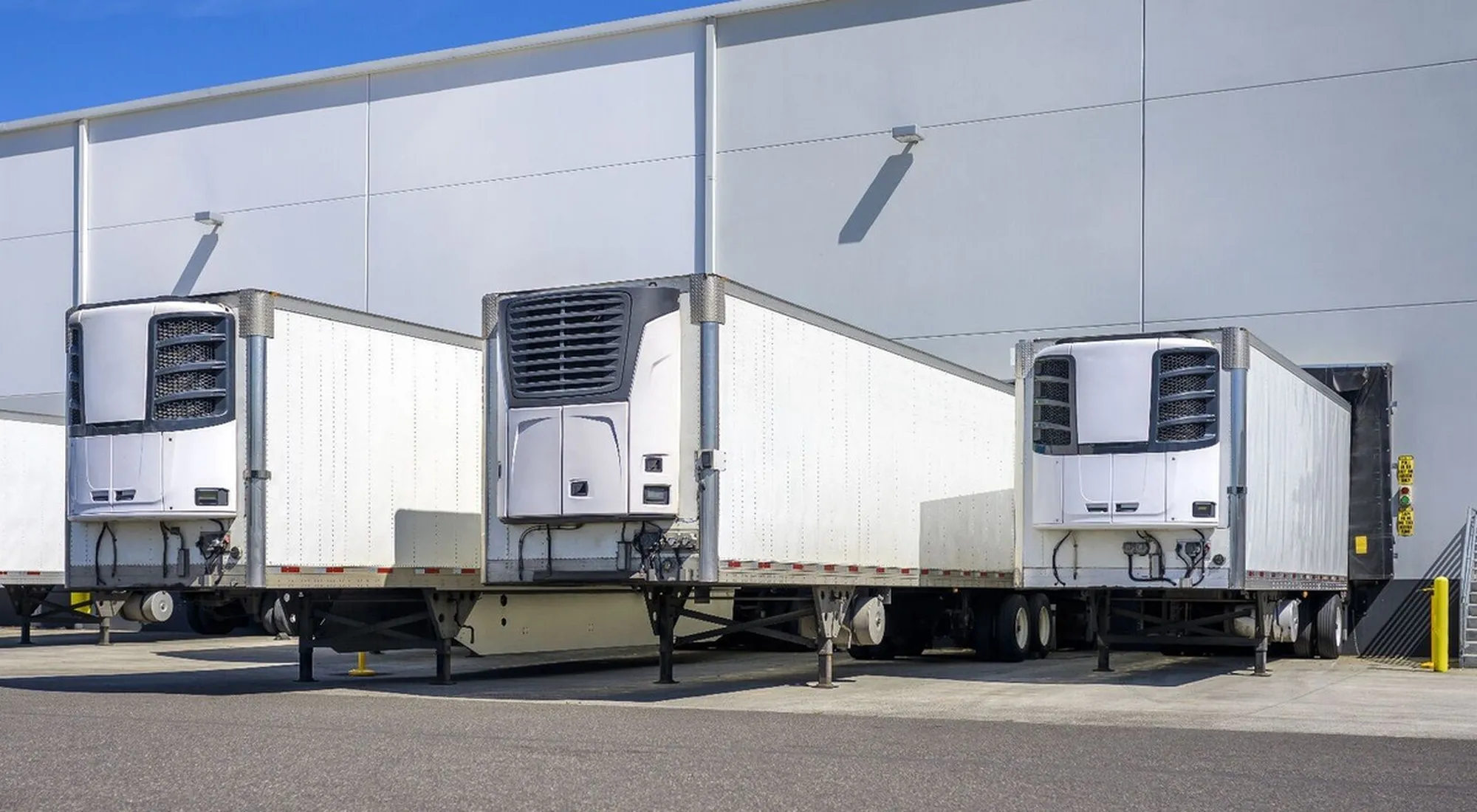 Trasporto frigo, MTS potenzia i servizi a temperatura controllata